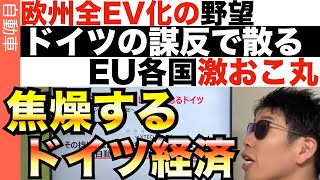 なぜ欧州は35年完全EV化を諦めたのか？裏事情を読み解く。 [upl. by Nydnarb]