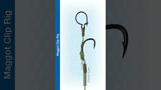 Shorts How To Tie The Maggot Clip Rig [upl. by Tutto]