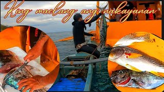 vlog 386 Night and day spearfishing catch and cook [upl. by Ulises]