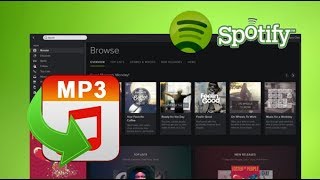 Alle Lieder von Spotify auf Computer runterladenkonvertieren OHNE PREMIUM 2018 DeutschGerman [upl. by Ij283]