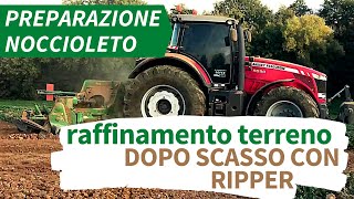 Preparazione Noccioleto  RAFFINAMENTO TERRENO dopo SCASSO CON RIPPER [upl. by Ttereve618]