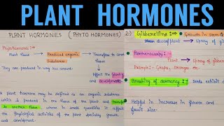 Plant Growth Regulators What are Plant Hormones Horticulture 101 Series [upl. by Okoyk]