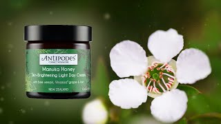 Manuka Honey SkinBrightening Light Day Cream HowTo [upl. by Denzil9]