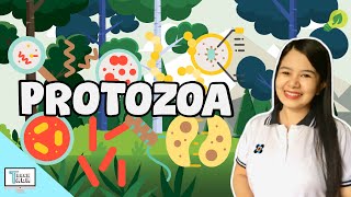 Protozoa  Protists  Biology [upl. by Yoj480]