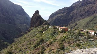 The Real Tenerife Santiago del Teide to Buenavista via Masca  scenic driving and cycling route [upl. by Magner]