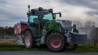 Fendt 209F à lengrais dans la vigne  SARL Cveta [upl. by Zigrang]