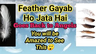 🌀Feather Milna🕊 Feather milney pe ye Karo aur Manifestation ko Boost Karo🌹🌼✨Magical [upl. by Atiugal998]