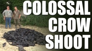 Fieldsports Britain  Colossal crow shoot [upl. by Mosenthal661]