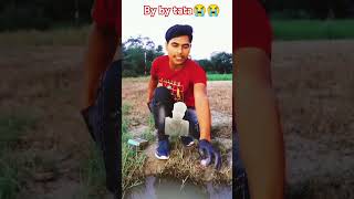 experiment funny science comedy diwali ferrari bollywood ferrari fans song hindi songs😭😭 [upl. by Llenaej]