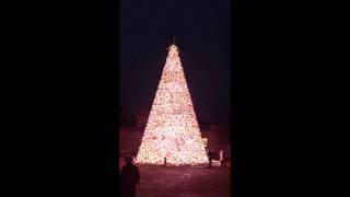 Christmas Tree Light Show at Longleat Safari Park [upl. by Relyks969]