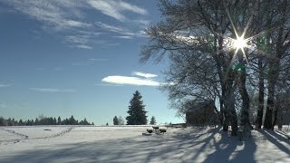 Winterzauber zwischen Hornberg und dem Kalten Feld [upl. by Wini778]