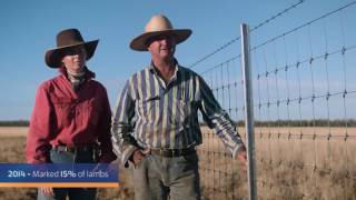 Clipex exclusion fencing in Morven QLD [upl. by Enetsuj908]