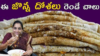 ఈ Healthy జొన్న దోశలు రెండే చాలు  Today vlog  Vijaya Lifestyle [upl. by Felske]