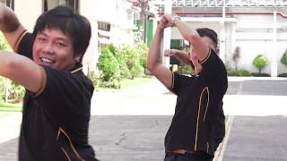 MNL48 Pagibig Fortune Cookie dance cover by Team Panasonic Philippines [upl. by Waylin]