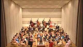 Beethoven Symphony 8 mov1  The New Tokyo Chamber Philharmonic TCP [upl. by Akiner]