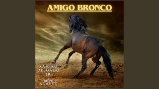 Amigo Bronco [upl. by Ynnoj]