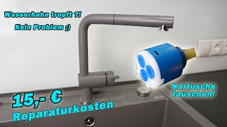 HILFE Wasserhahn TROPFT  So habe ich 200€ gespart   TUTORIAL  BLANCO  Küchenamatur [upl. by Leontina]