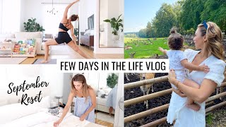 VLOG  September Reset Organize With Me amp Weekend In The Life  Annie Jaffrey [upl. by Barren]