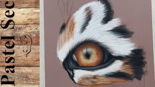 Comment réaliser un oeil de tigre au pastel sec [upl. by Etnahsal332]