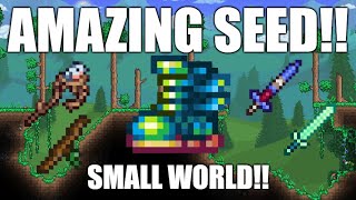 Terraria 1449 Amazing Seed Small World [upl. by Ayanad790]