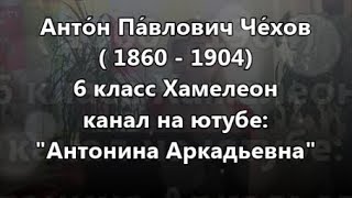 Хамелеон 6 класс Антон Павлович Чехов [upl. by Ynatil]