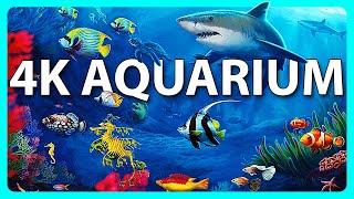 The Best 4K Aquarium for Relaxation 🐠 Relaxing Oceanscapes  Sleep Meditation 4K UHD Screensaver [upl. by Lohrman]