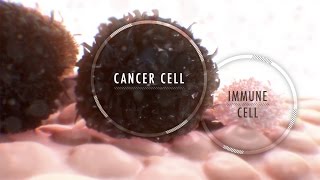 Immunotherapy for Cancer What It Is and Why It’s Used [upl. by Giarg121]