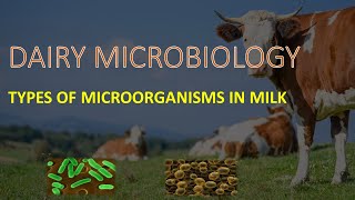 DAIRY MICROBIOLOGY II TYPES OF MICROORGANISMS IN MILK [upl. by Maleeny]