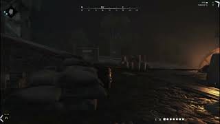 Hunt Showdown  Fire Beetle Killing assist [upl. by Haduhey]