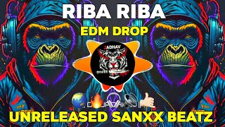 RIBA RIBA  PRIVATE VOL MIX 2021FREAKY EDM MIX  DJ SAMIO REMIX UNRELEASED KING DJS OF MΗ [upl. by Cromwell391]