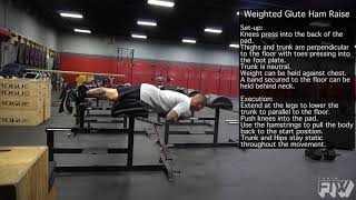 Weighted Glute Ham Raise [upl. by Willy]