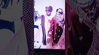 nephew marriage Video song bollywood hindisong [upl. by Rocker475]