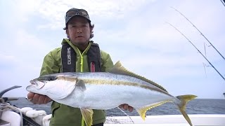 【いつでも釣り気分！】202 九州が誇る豊かな海 玄界灘！ジギングで狙う青物 [upl. by Gee671]