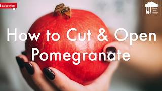 The Best way to cut and open a Pomegranate [upl. by Alimrahs]