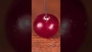 Cranberry Cutting Close Up [upl. by Neema131]