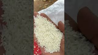 6N70 POLISHER MACHINE TESTING 100 FRESH RICE 🍚🔥🔥🔥🔥 [upl. by Kendra976]