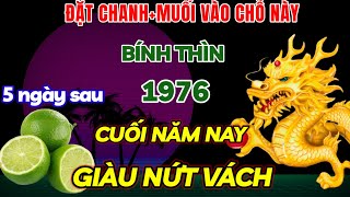 HÉ LỘ BÍ MẬT ĐÚNG 5 THÁNG CUỐI NĂM BÍNH THÌN LÀM NGAY VIỆC NÀY 5 NGÀY SAU NỔ LỘC  GIÀU NỨT VÁCH [upl. by Nydnarb]