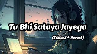 Tu Bhi Sataya Jayega SlowedReverb  Vishal Mishra [upl. by Atnomed]