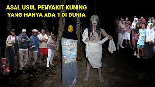 🔴JATENG VIRAL‼️asal muala adanya penyakit kuning dan menul4r [upl. by Atires]