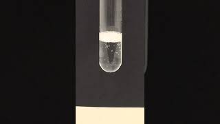 Testing For Carboxylic Acids  Sodium Carbonate [upl. by Rosamund428]