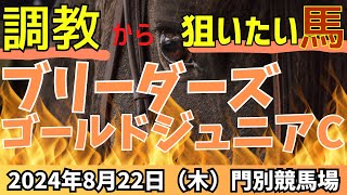 本命◎2着🎯🎯【ブリーダーズゴールドジュニアカップ 2024】秋のJBCに繋がる2歳中距離重賞🔥【競馬予想】 [upl. by Bannister600]