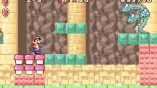 Super Mario Advance  SMB 2 Boss 23 Tryclyde no damage [upl. by Oirramaj]