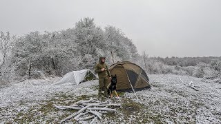 Winter Storm Camping with my Dog  Rain and Snow in the One Day [upl. by Parnas140]