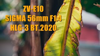 【4K】Cinematic Color Grading Sony HLG3 BT2020 Use Sony ZVE10  Sigma 56mm f14 DC DN [upl. by Milon]