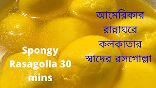 Homemade Rasgolla recipe Easy recipe easy stepBengali blog Desi family tour amp fun Dokaner moto [upl. by Boylston]