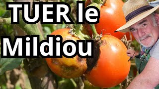 Comment se débarrasser du mildiou des tomates [upl. by Rekcut998]