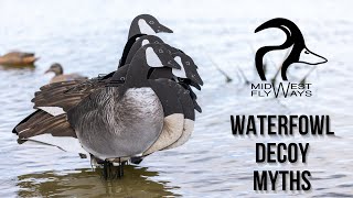 Waterfowl Decoy Myths [upl. by Illom]