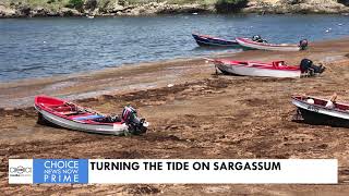 TURNING THE TIDE ON SARGASSUM [upl. by Tyrus]