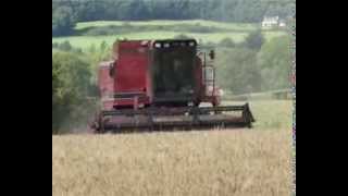 Case IH 1660 AxialFlow combine [upl. by Anilef]