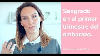 Sangrado en el primer trimestre del embarazo  Arancha Matrona vlog24 [upl. by Asamot317]